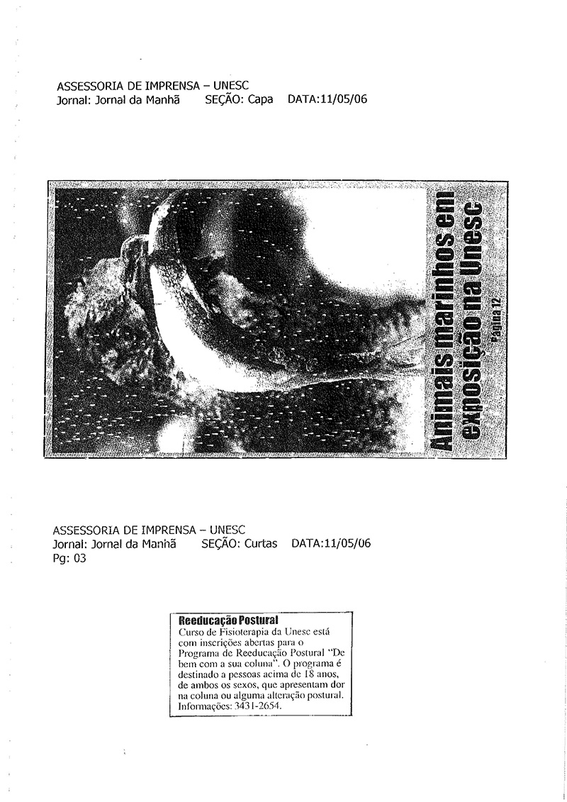 2006