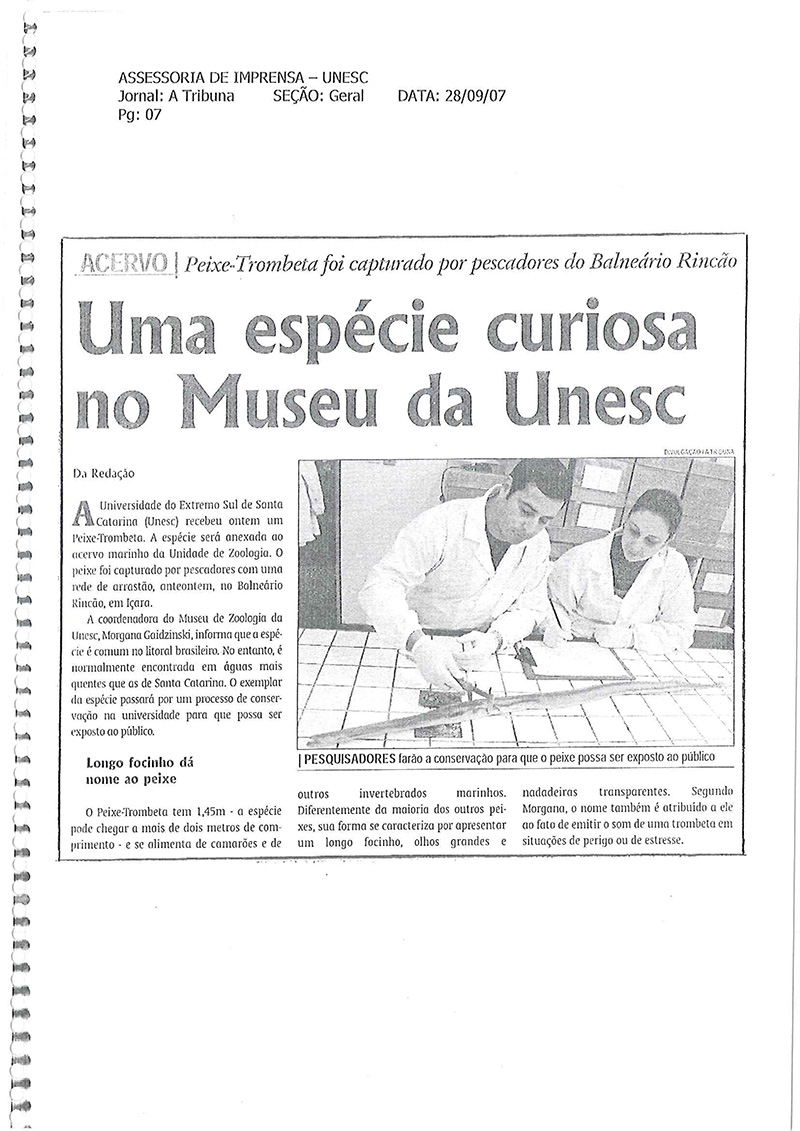 2007
