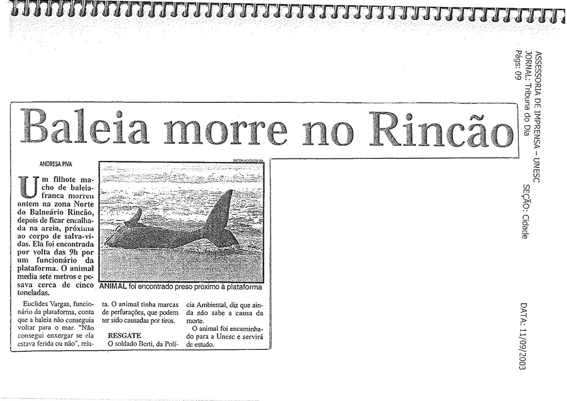 2003