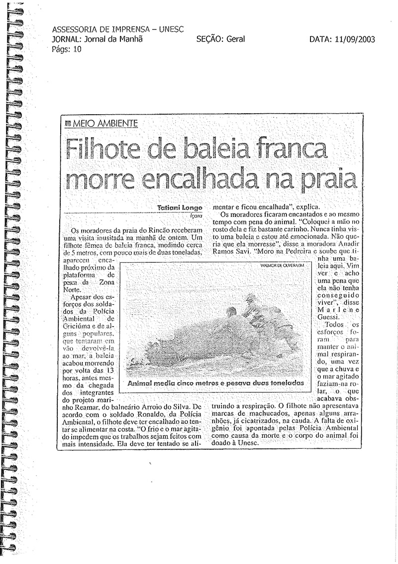 2003