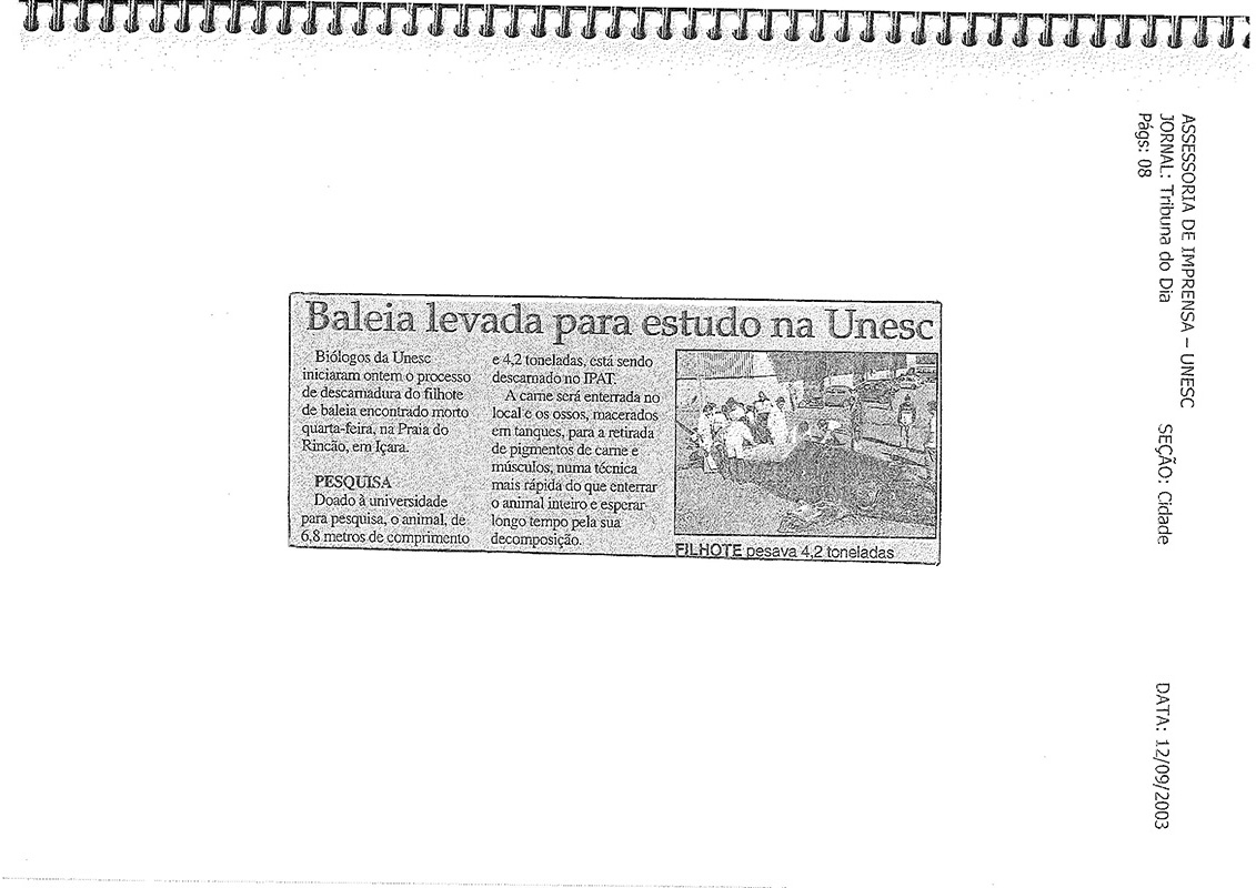 2003