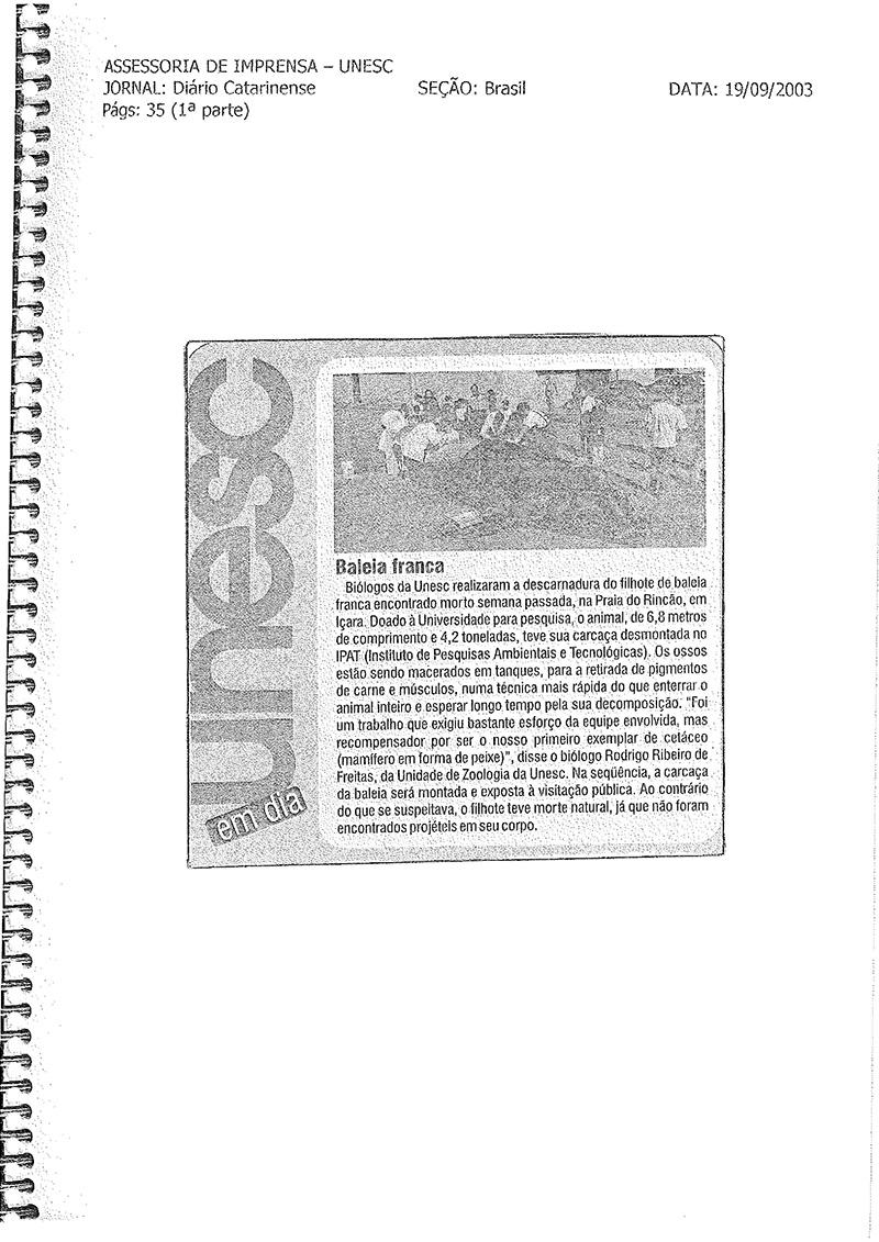 2003