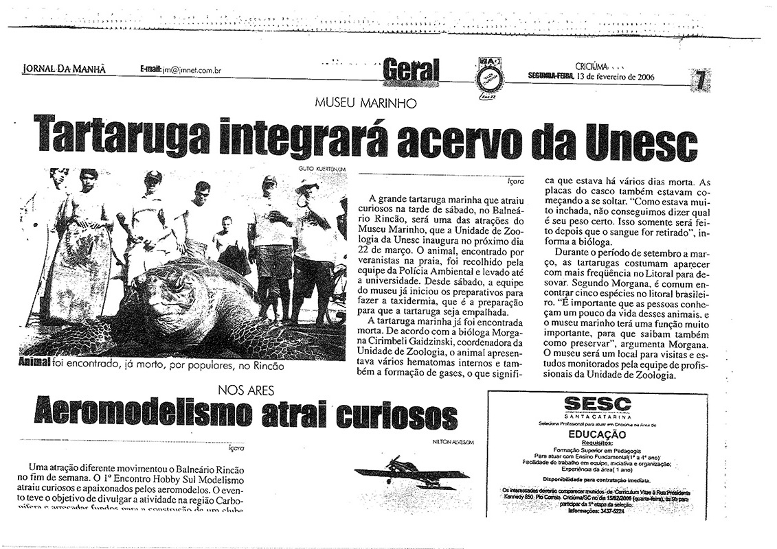 2006