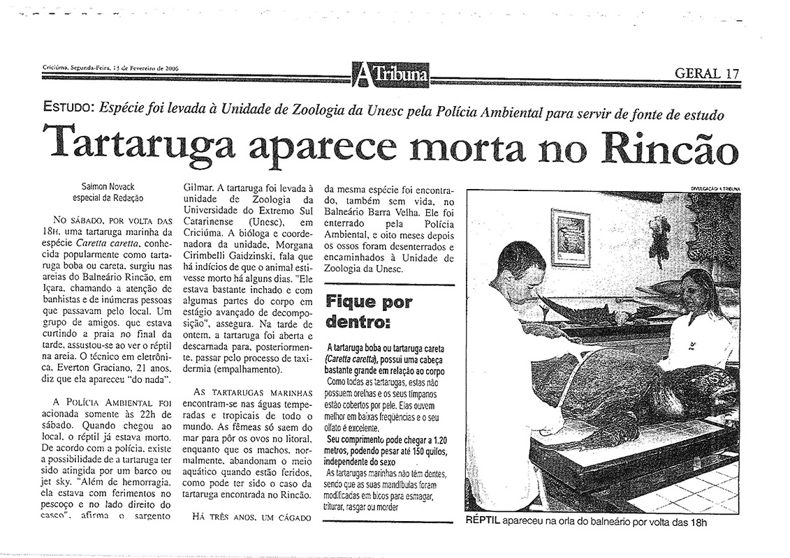 2006