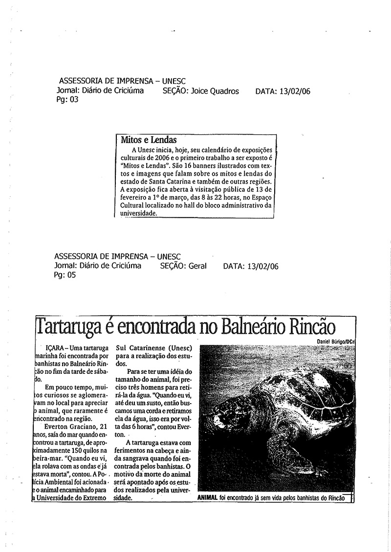 2006