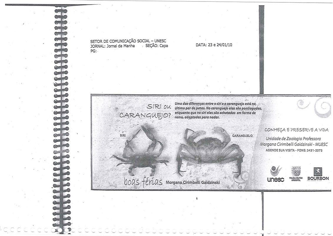 2010