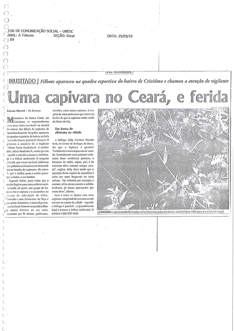 2010