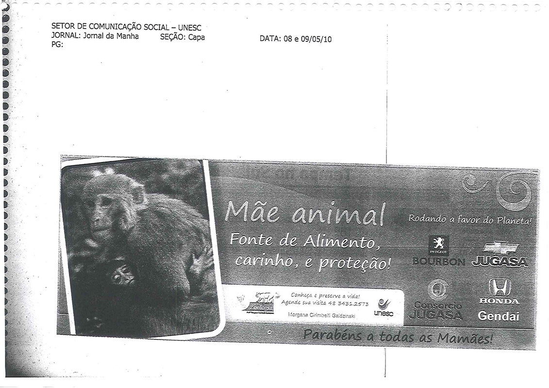 2010