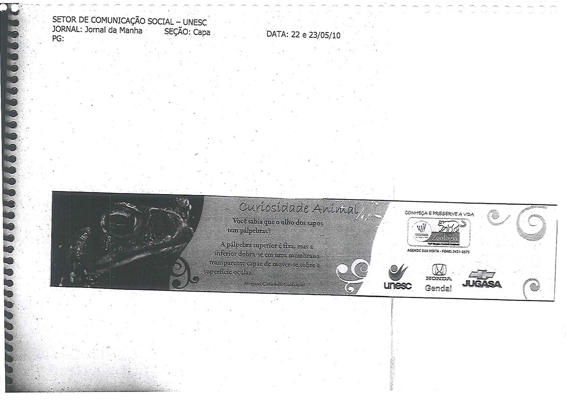 2010