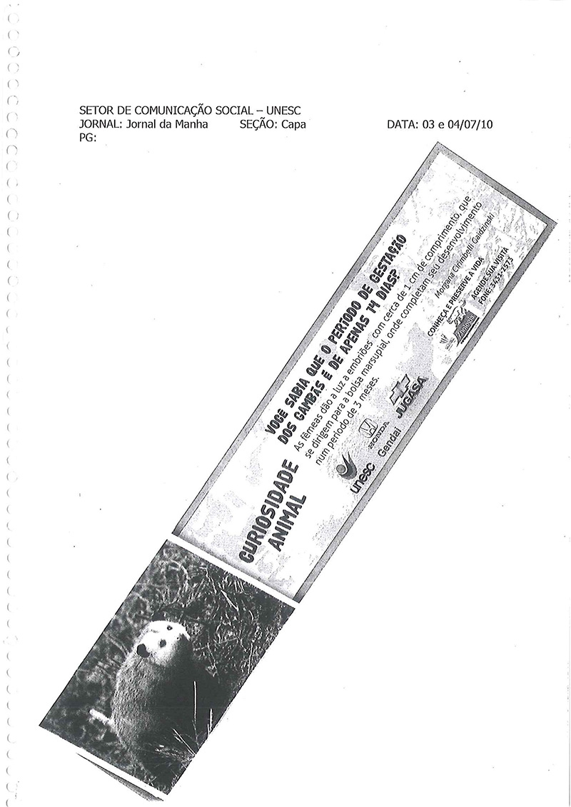 2010