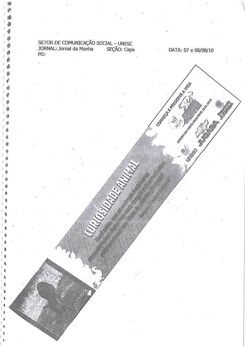 2010