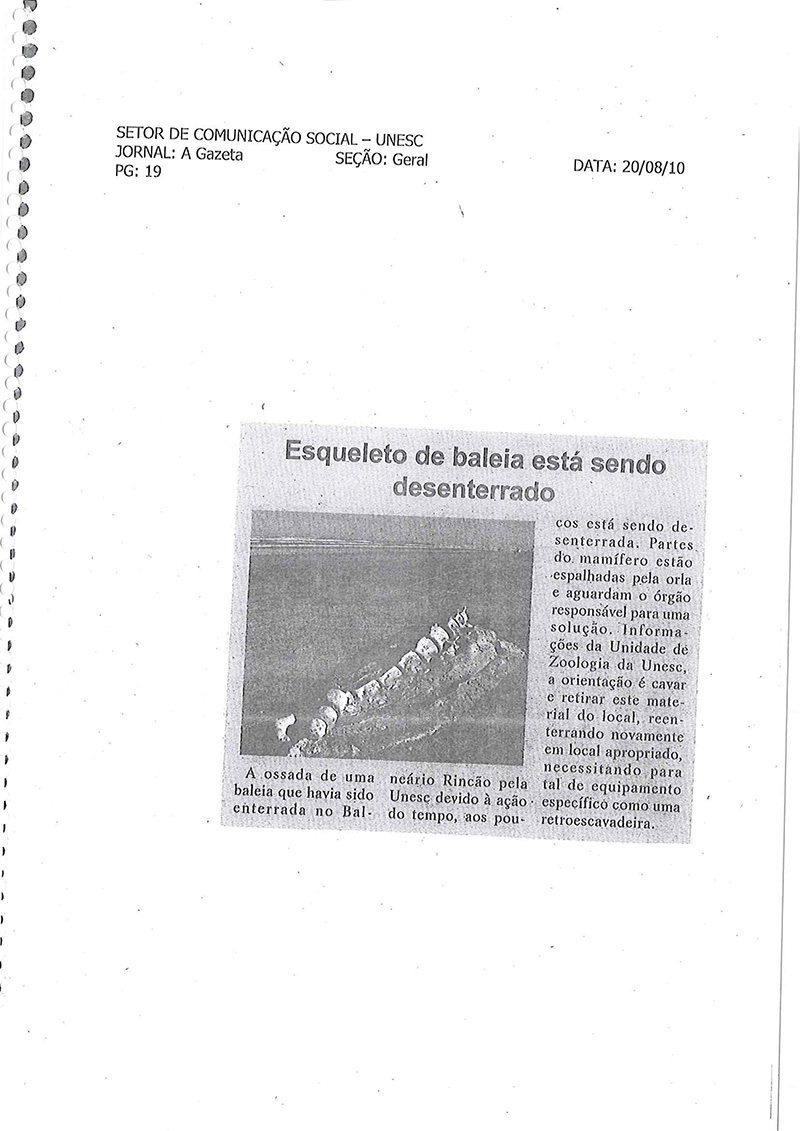 2010