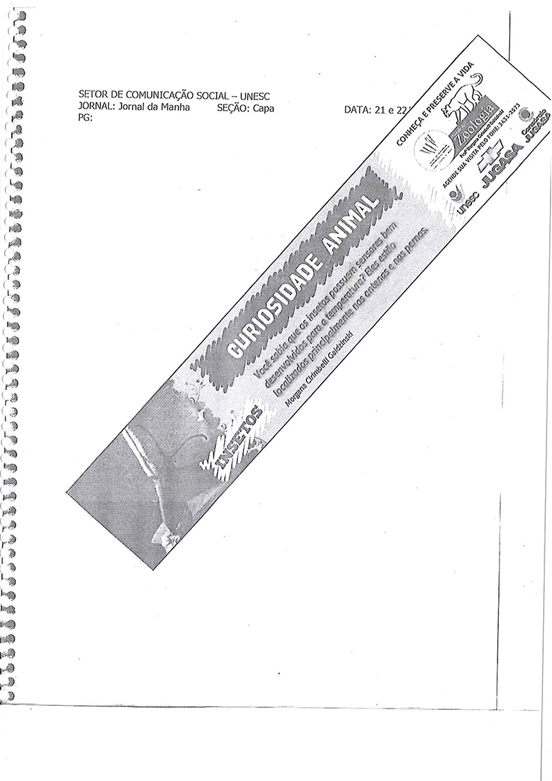 2010