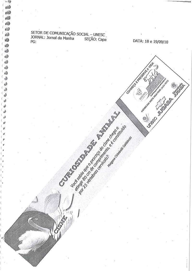 2010