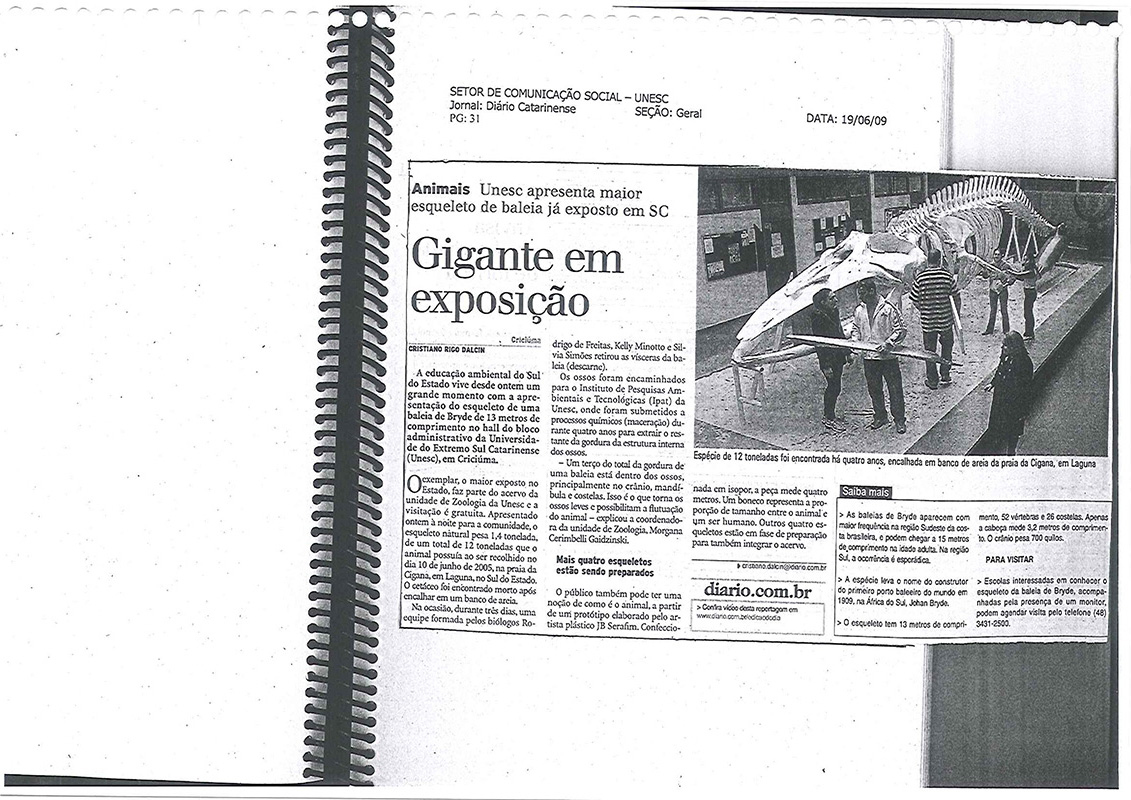 2009
