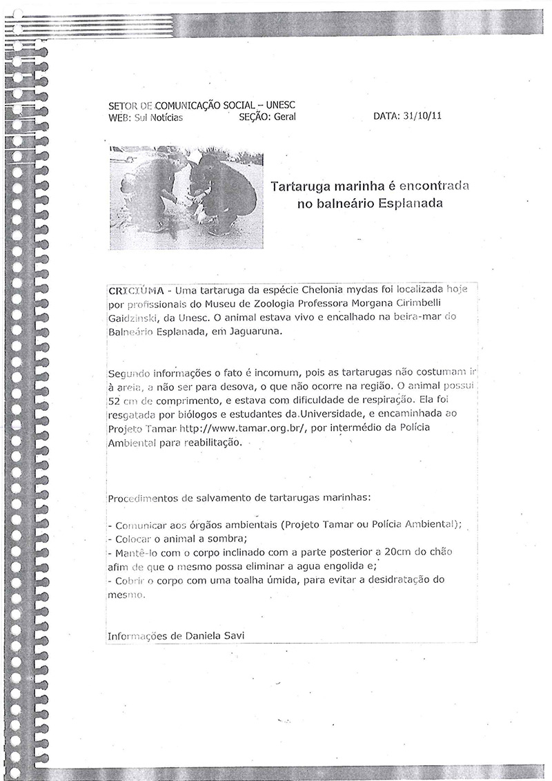 2011