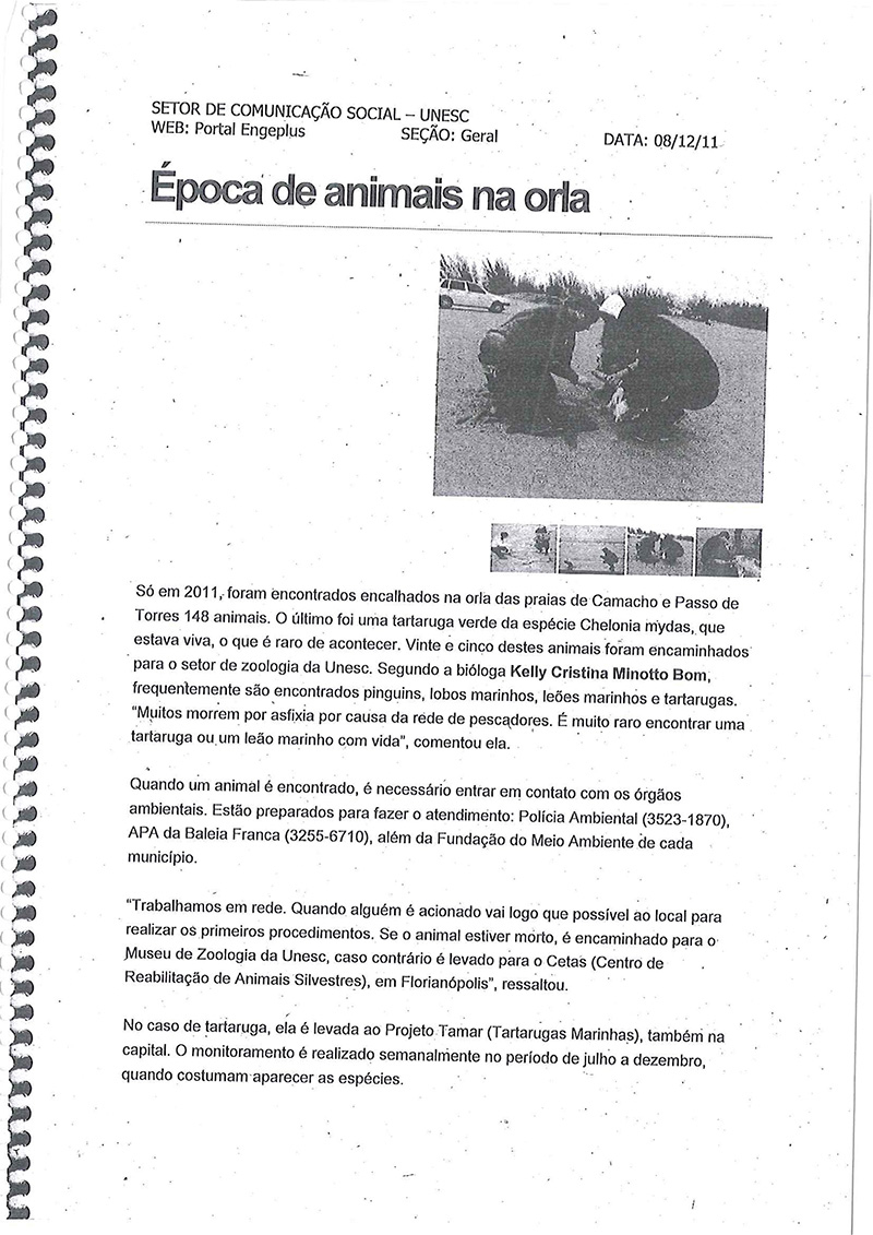 2011
