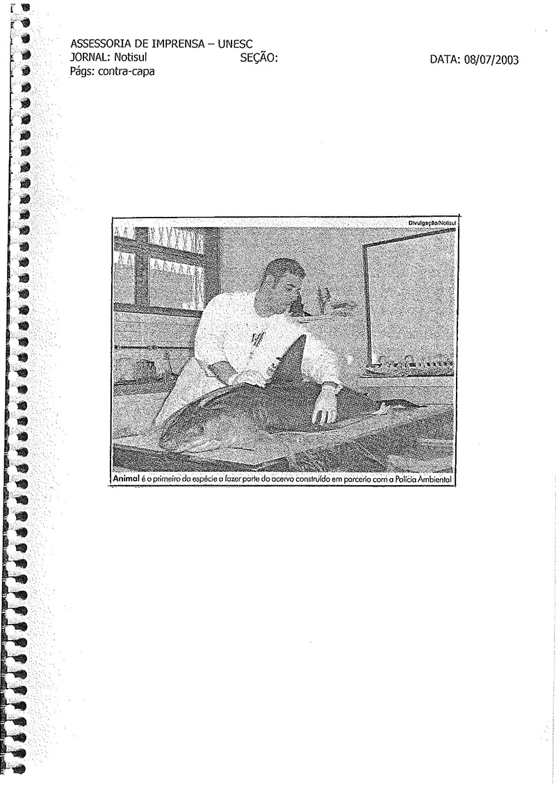 2003