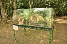 Foto: Fátima Guimarães