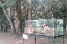 Foto: Fátima Guimarães
