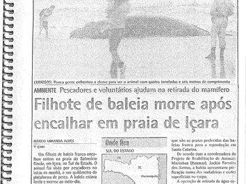 2003
