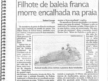 2003