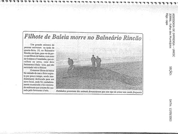 2003