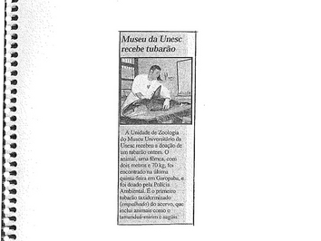 2003