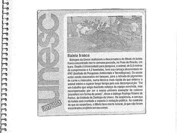 2003