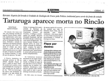 2006