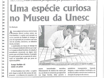 2007