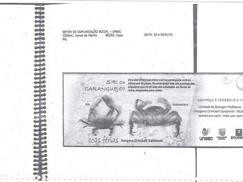 2010