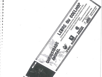2010