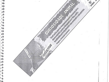 2010