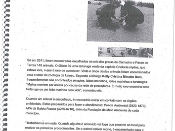 2011