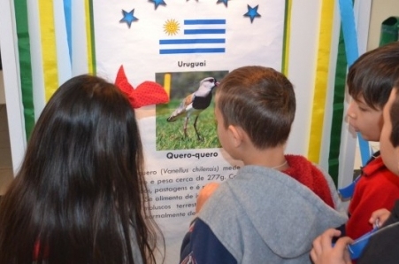 Museu de Zoologia da Unesc promove a Copa Animal