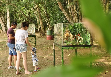 Museu no Parque