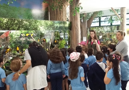 Programa Educativo 