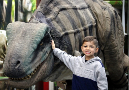 Museu de Zoologia da Unesc: referência em pesquisa, turismo e educação