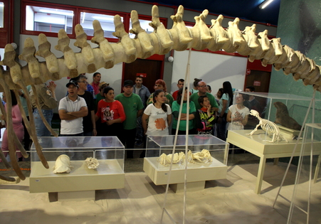 Alunos da Apae de Passos de Torres visitam a Unesc