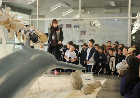 Museu de Zoologia da Unesc celebra 20 anos com programação especial