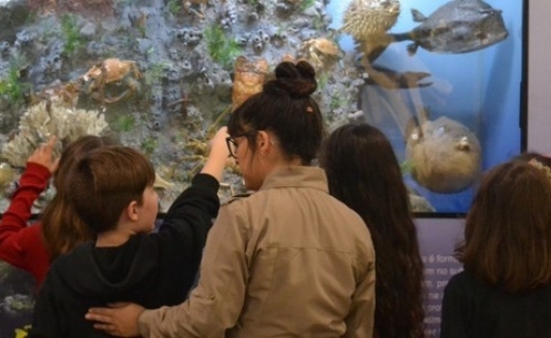 Semana de Ciência e Tecnologia sedia 1º Ciclo de Palestras do Museu de Zoologia