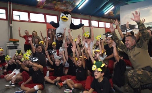 Museu de Zoologia celebra dia do Pinguim com evento educativo