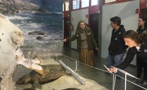 Representantes do Projeto Tamar conhecem o Museu de Zoologia da Unesc