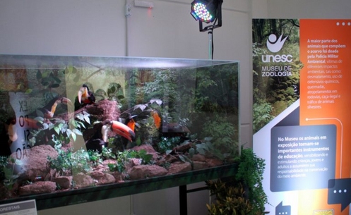 Shopping Infinity recebe exposição do Museu de Zoologia da Unesc