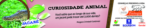 4 e 5 de setembro de 2010