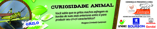 11 e 12 de setembro de 2010