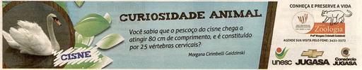 18 e 19 de setembro de 2010