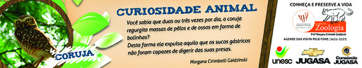 2 e 3 de outubro de 2010