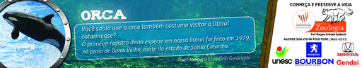16 e 17 de outubro de 2010
